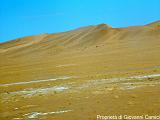 YEMEN (03) - Deserto del Ramlat as-Sab'atayn - 26